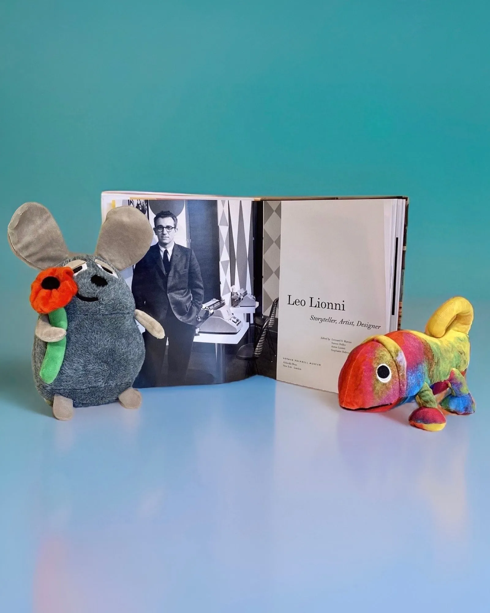Chameleon Soft Toy Yottoy