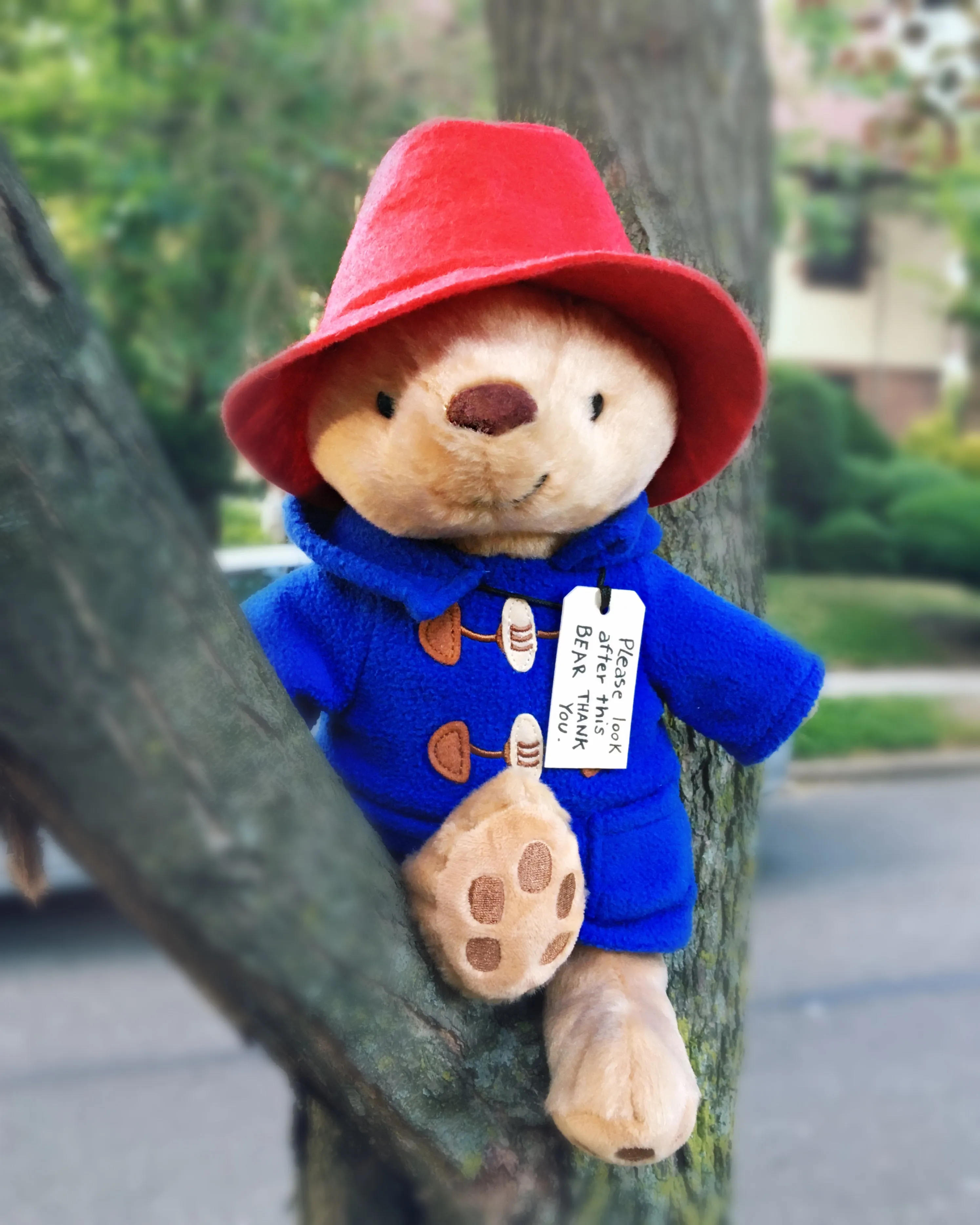 Classic Seated Paddington 8.5" Soft Toy Yottoy