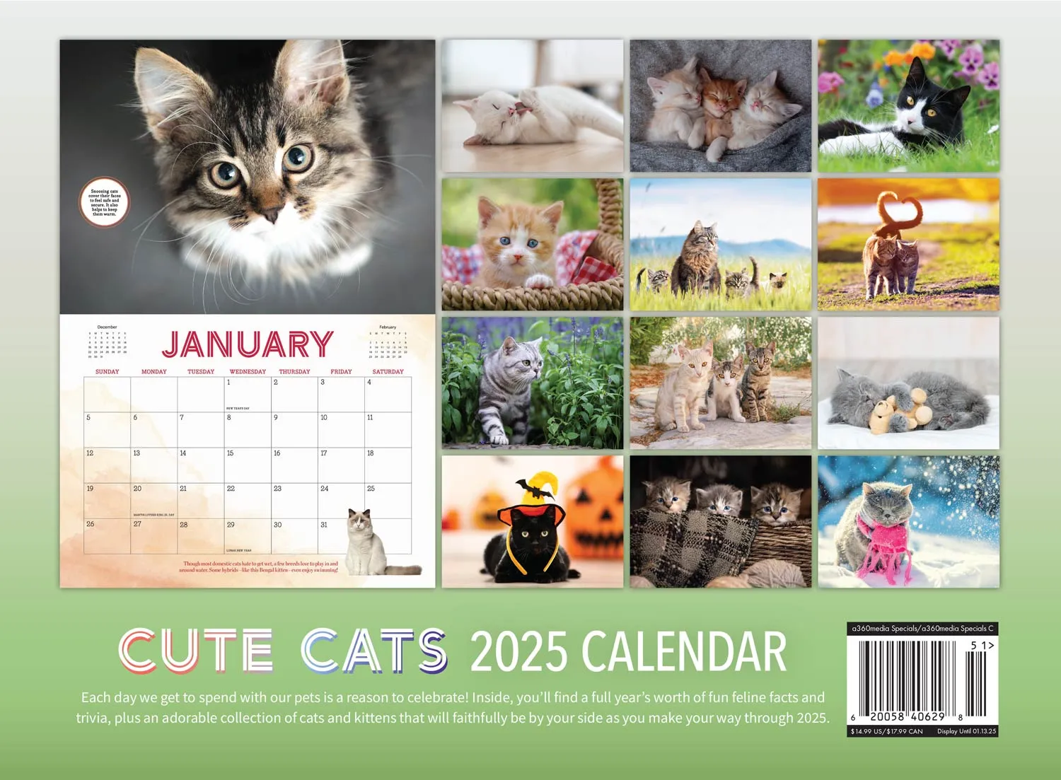 Cute Cats - 2025 Calendar: Year Of Furry Friends, Feline Facts & Trivia, Adorable Collection Of Cats & Kittens, Photos, Tips & Tricks On Caring For Pet, Unique Insights Into Your Cat's Mind & More!