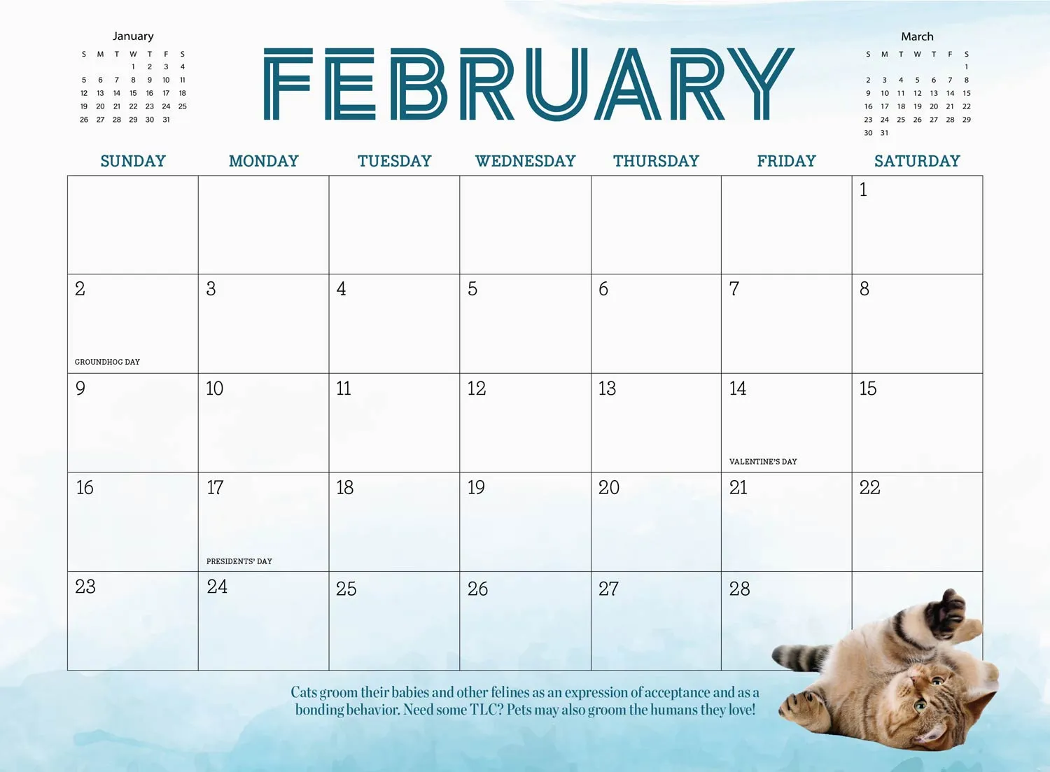 Cute Cats - 2025 Calendar: Year Of Furry Friends, Feline Facts & Trivia, Adorable Collection Of Cats & Kittens, Photos, Tips & Tricks On Caring For Pet, Unique Insights Into Your Cat's Mind & More!