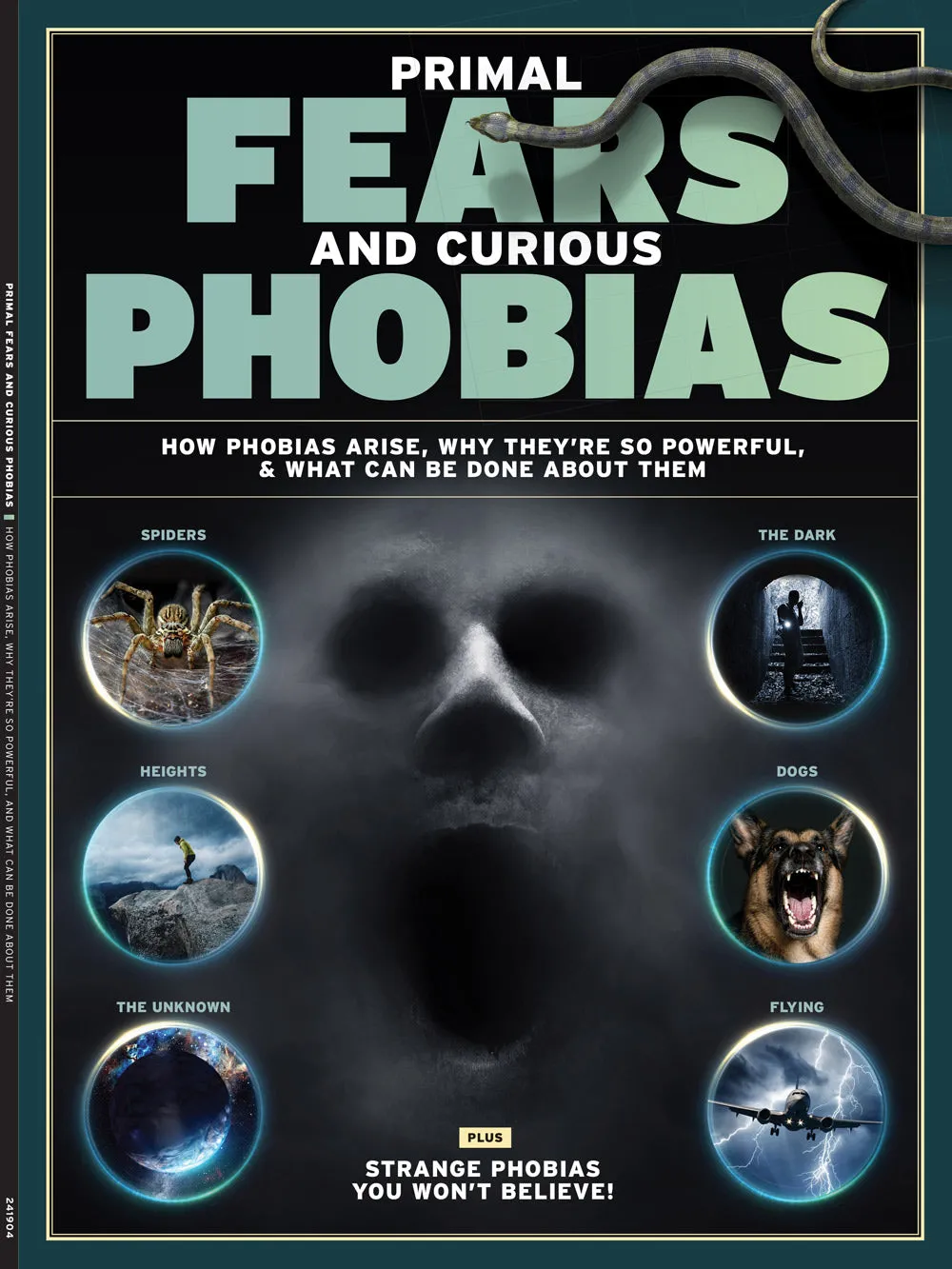 Fears & Phobias - Sources Of Fears, Why They're So Powerful, Promising Treatments, Spiders, Heights, The Dark, Flying, Death, Dogs, Public Speaking, Crowds, Strangers, Needles, FOMO, Clowns & More!