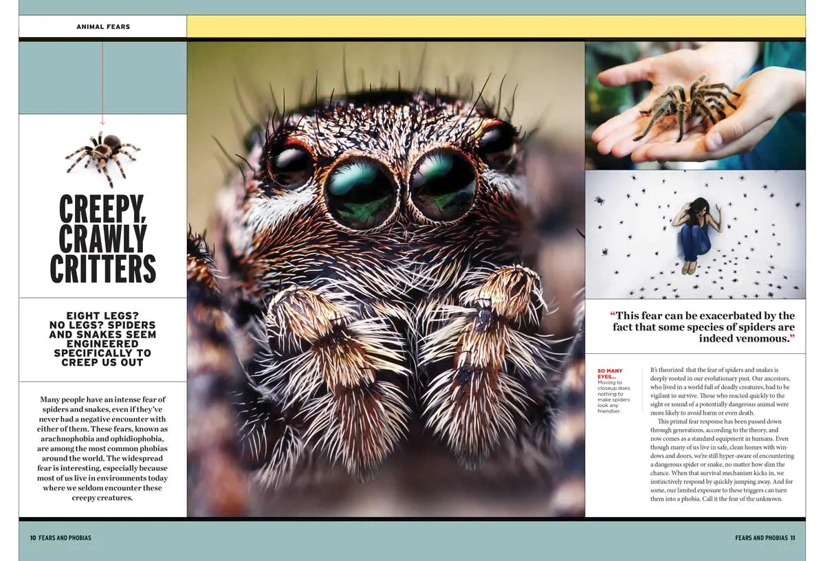 Fears & Phobias - Sources Of Fears, Why They're So Powerful, Promising Treatments, Spiders, Heights, The Dark, Flying, Death, Dogs, Public Speaking, Crowds, Strangers, Needles, FOMO, Clowns & More!