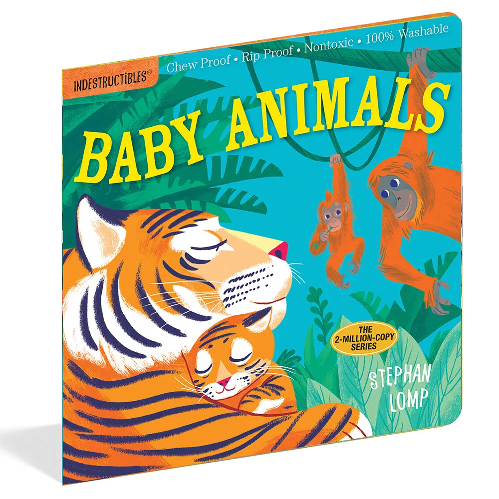 Indestructibles Word Books 4-Piece Set | Chew-Proof, Washable, and Rip-Proof Constructive Play Things