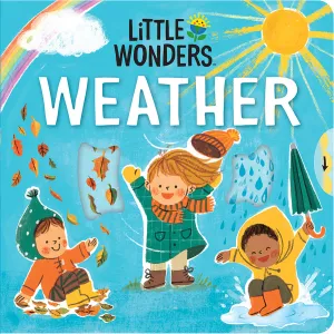 Little Wonders Weather Cottage Door Press