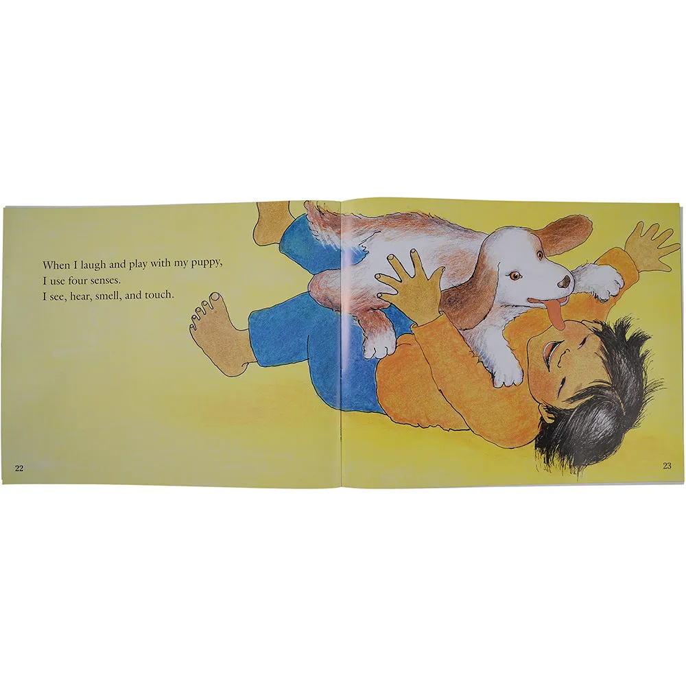 Look And Learn Big Book-My Five Senses Big Book Constructive Play Things