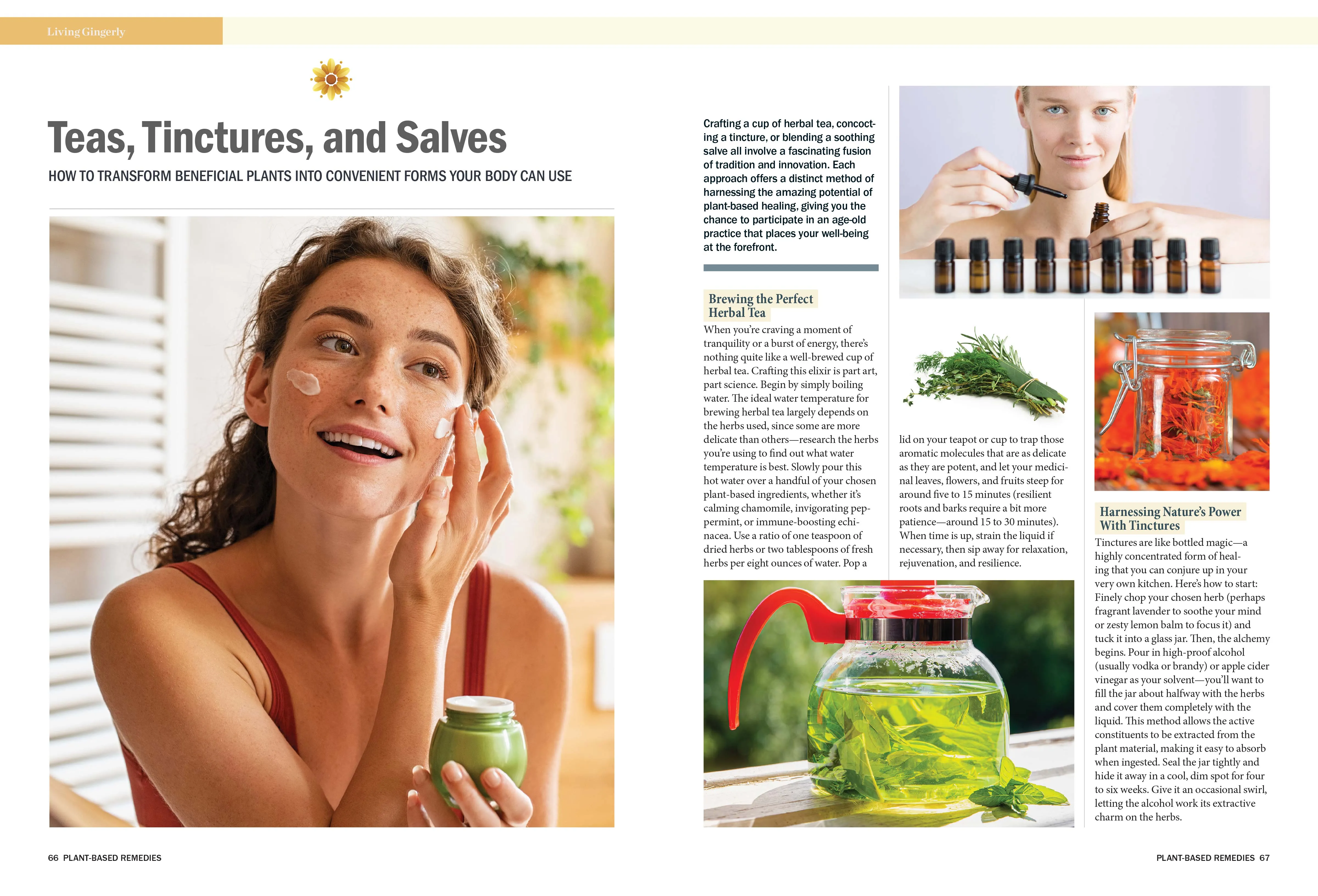 Plants That Heal - Guide To All-Natural, Plant-Based Medicine: Homeopathy, Herbal Remedies For Pain, Weight Loss, Anxiety, Cramps, Nausea, Ginger, Willow Bark, Teas, Tinctures, Salves, Recipes & CBD!