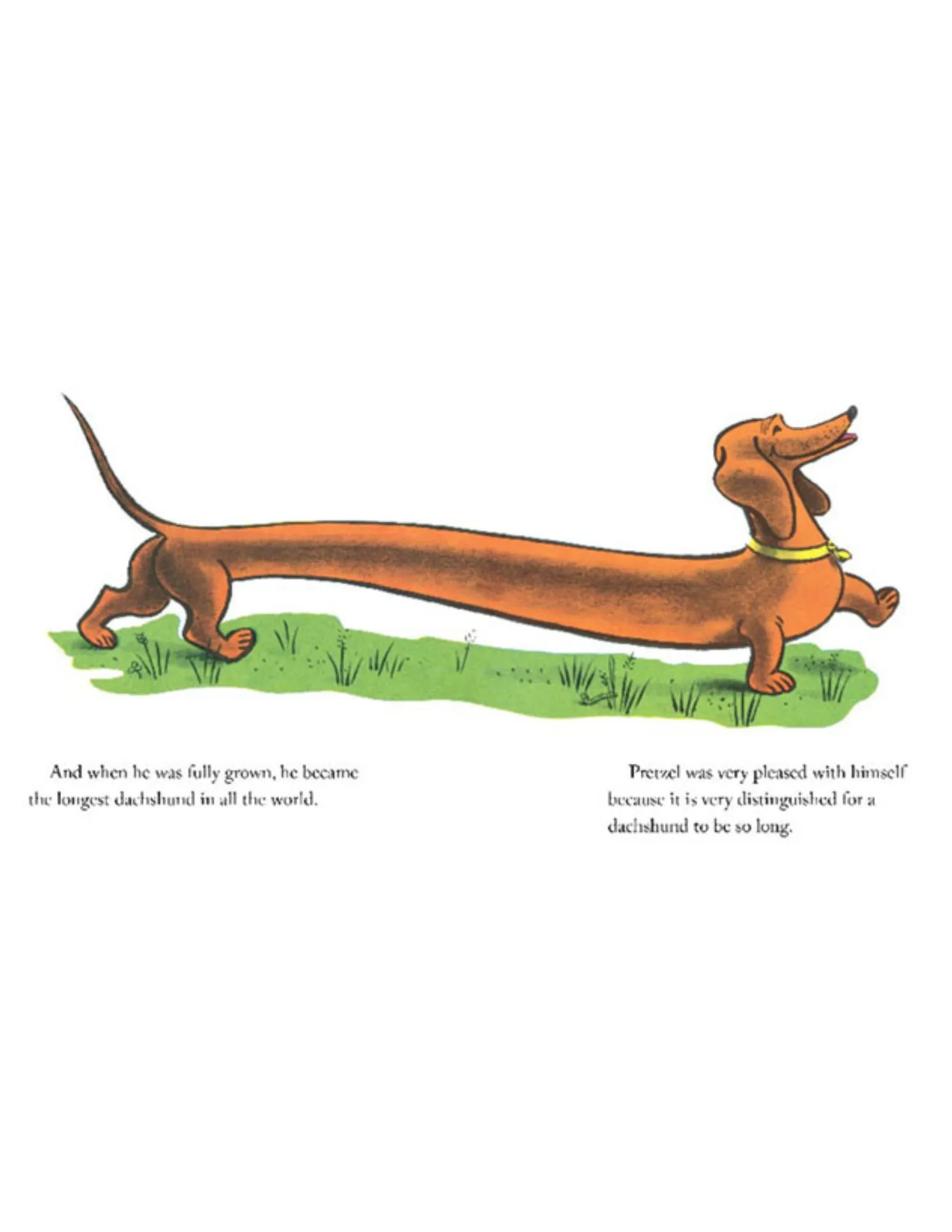 Pretzel New Edition Hardcover Book Yottoy