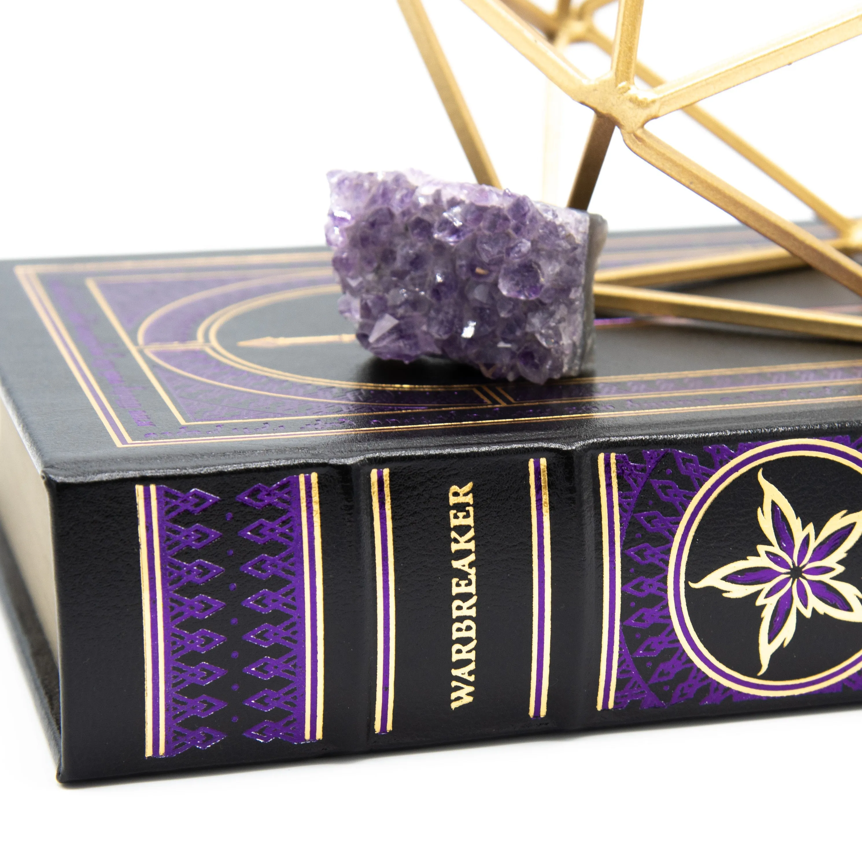 Signed Leatherbound Warbreaker - Deluxe Dragonsteel Edition Dragonsteel Books
