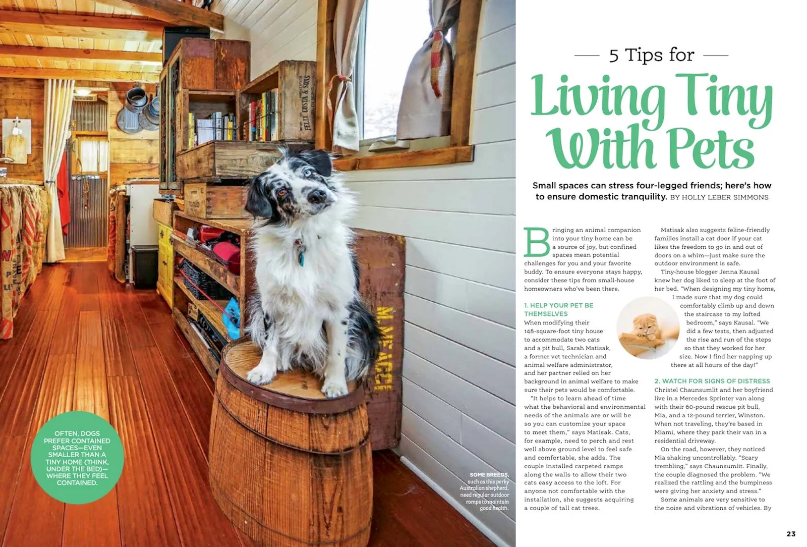 Tiny Homes - Living Large In Small Houses! Downsize With Style, How To Save, Organizing Tips With The Best Pre-Built Designs, Family-Friendly Solutions & Essential Building Checklist!